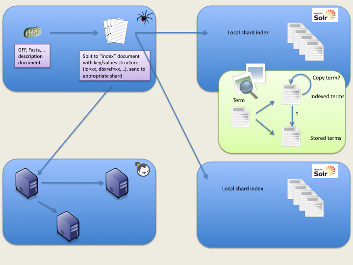 Index process